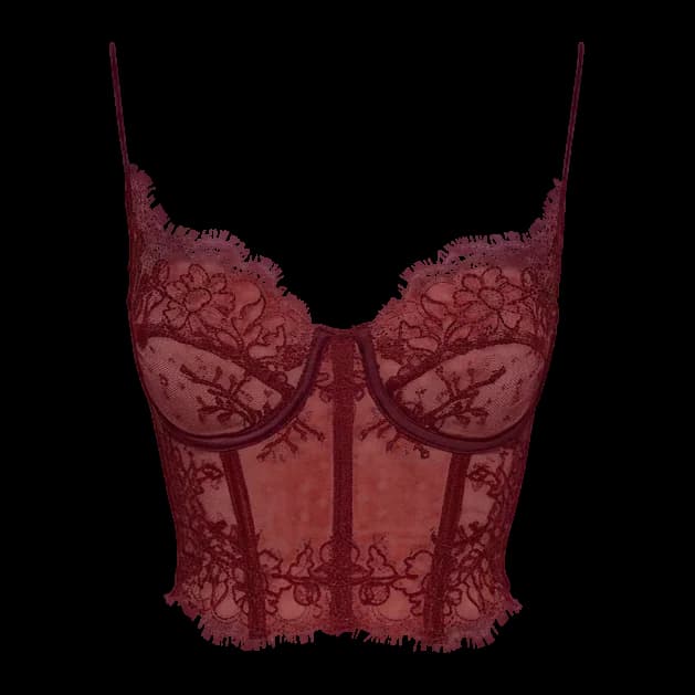 Women underwear product image before AI model generation